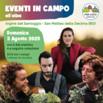 Immagine relativa a 03 Agosto ore 6.00 | Letture in musica